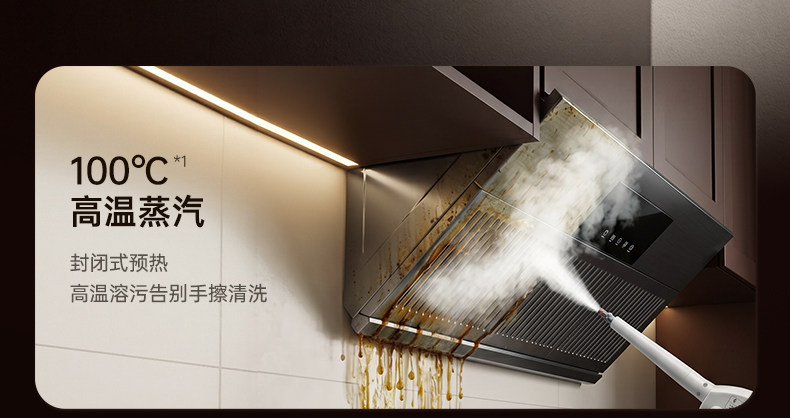 High Pressure Steam Cleaner, M - Kitchen Appliances Home 评论和价格